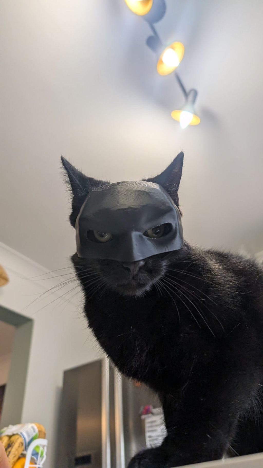 3D Printed Cat Batman Mask