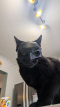 3D Printed Cat Batman Mask