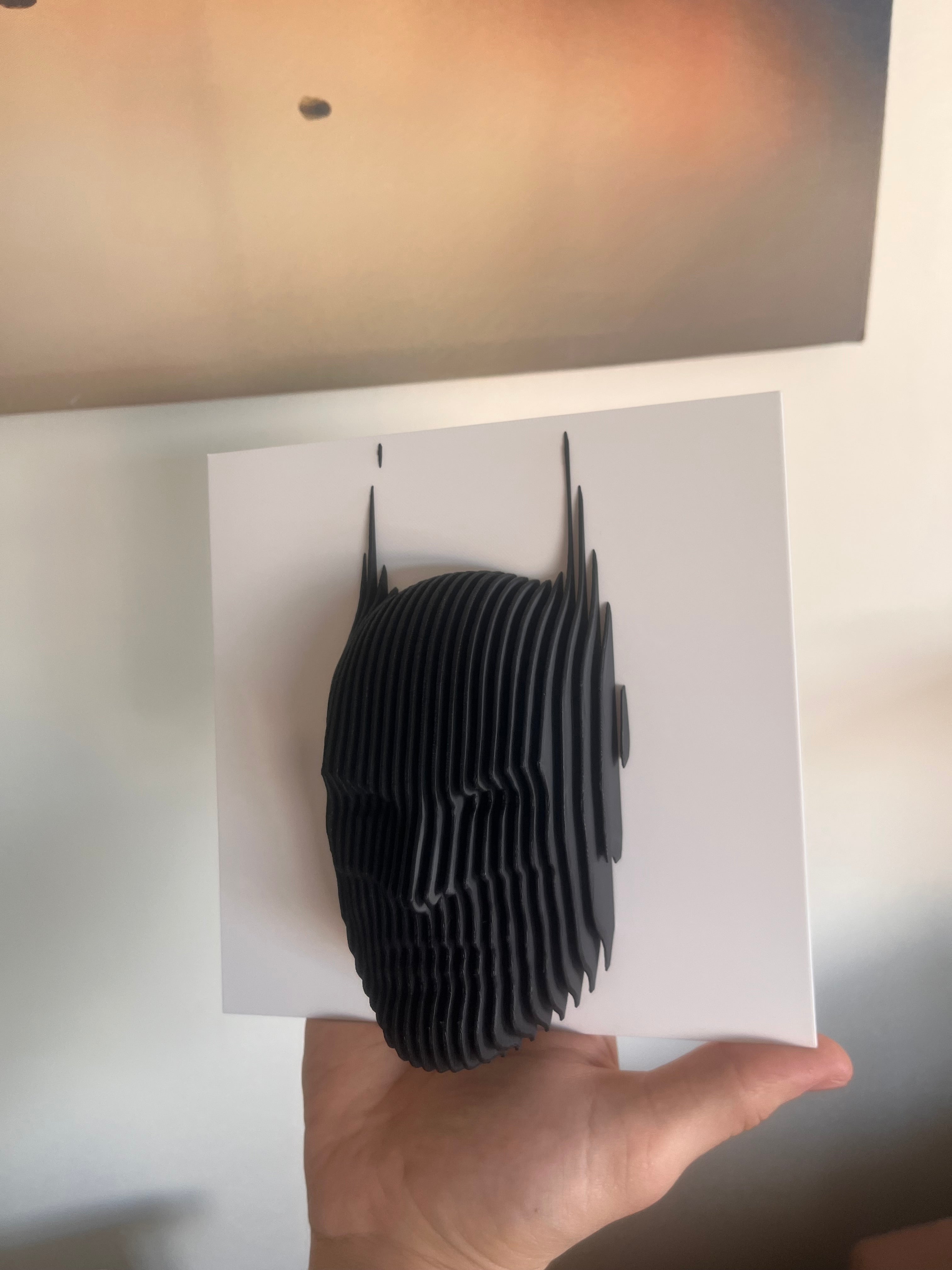 3D Printed Batman head