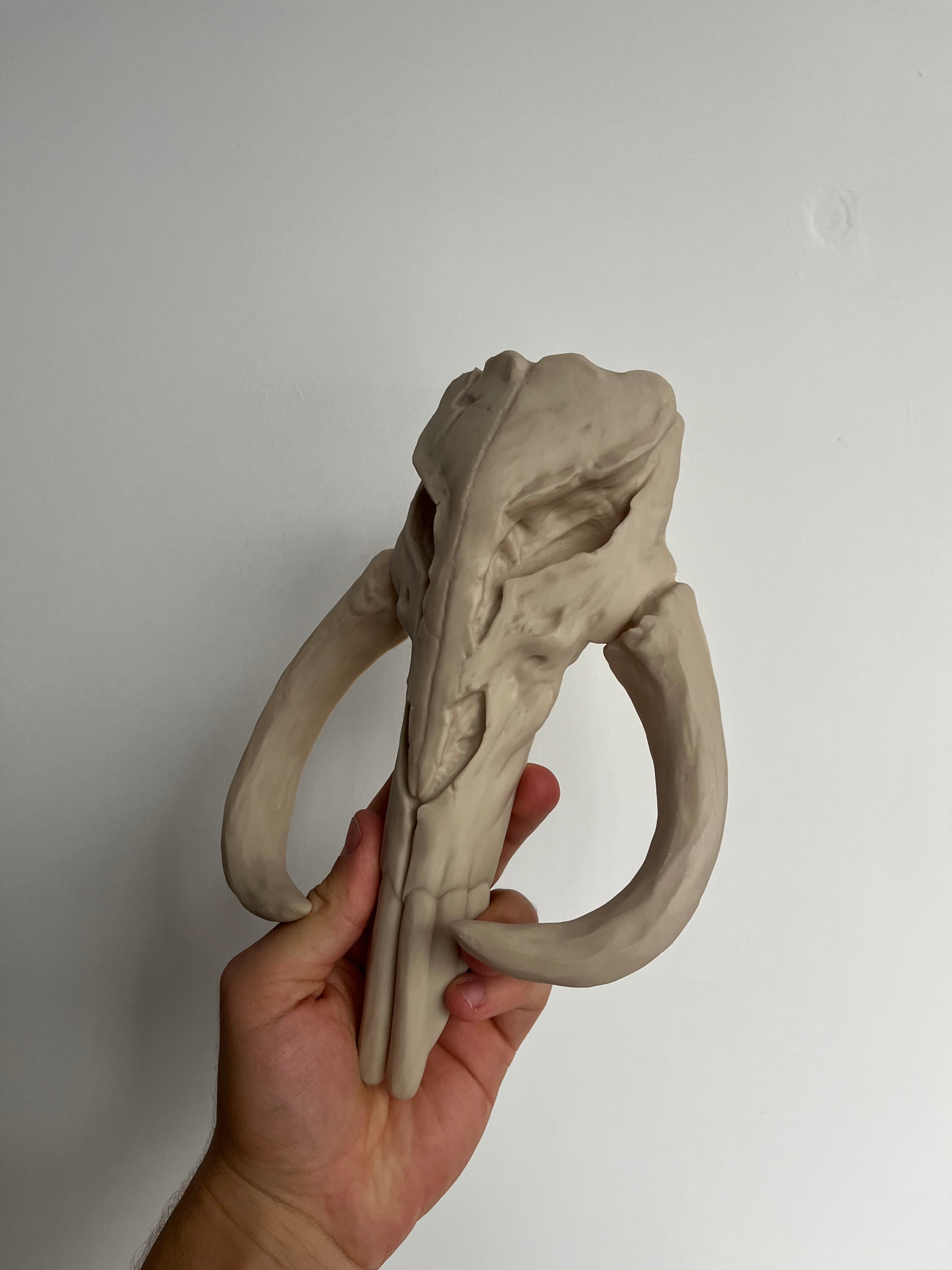 3D Printed Star Wars Mythosaur Skull Mandalorian