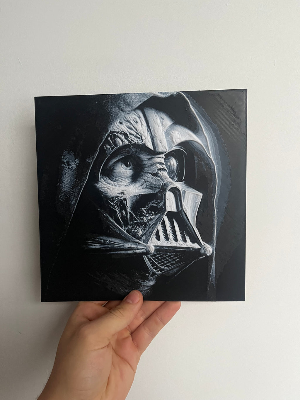3D Printed Darth Vader Picture