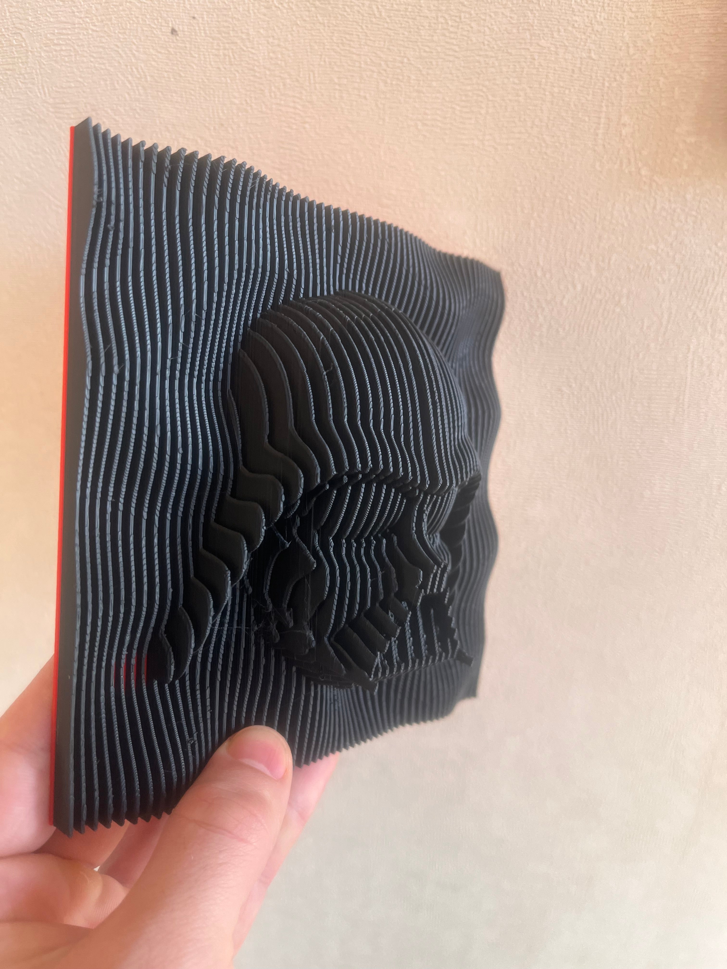 3D Printed Darth Vader Head